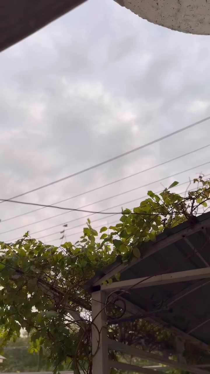 يتي ار للبيع دراجة كفاله ما مفتوحه شلعه و معدل بيهه تزويد بلادي اصلي
صالصنه
كشن
دبل 
يدات 
كلج امامي 
مكاني حي الجهاد 
السعر خاص رقمي ***********
