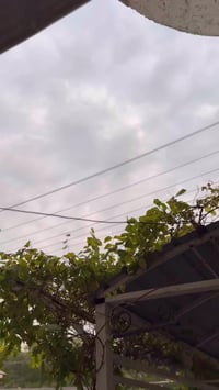 يتي ار للبيع دراجة كفاله ما مفتوحه شلعه و معدل بيهه تزويد بلادي اصلي ص...