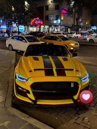 ايكوبوست • ٢٠١٧ • سلندر4