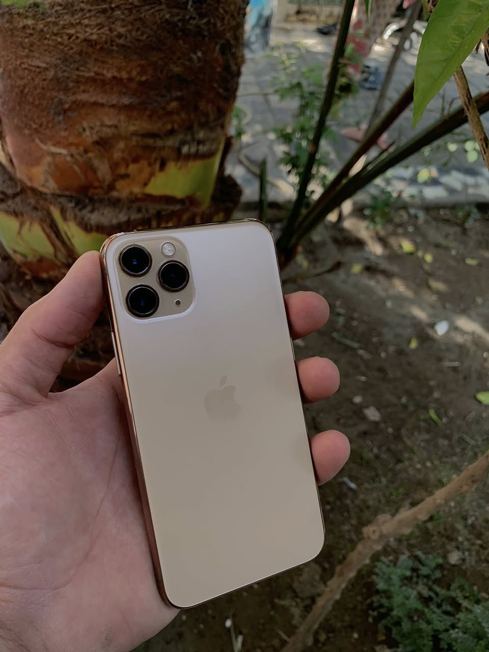 ايفون 11 برو
الجهاز وتر برو 

ذاكره 256

البطارية 72

جهاز ع وضع الشرك

السعر 300وبي مجال حك جية 

العنوان بغداد الخطيب

لتواصل :***********
