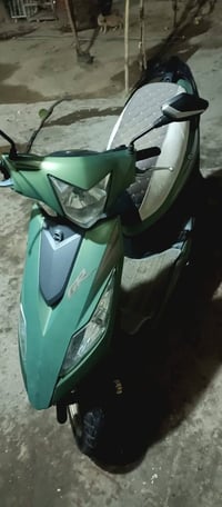نحله دبلين • ١٥٠ • بدون اوراق