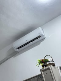 توسوت سبليت • ٢ طن • مستخدم موسم واحد