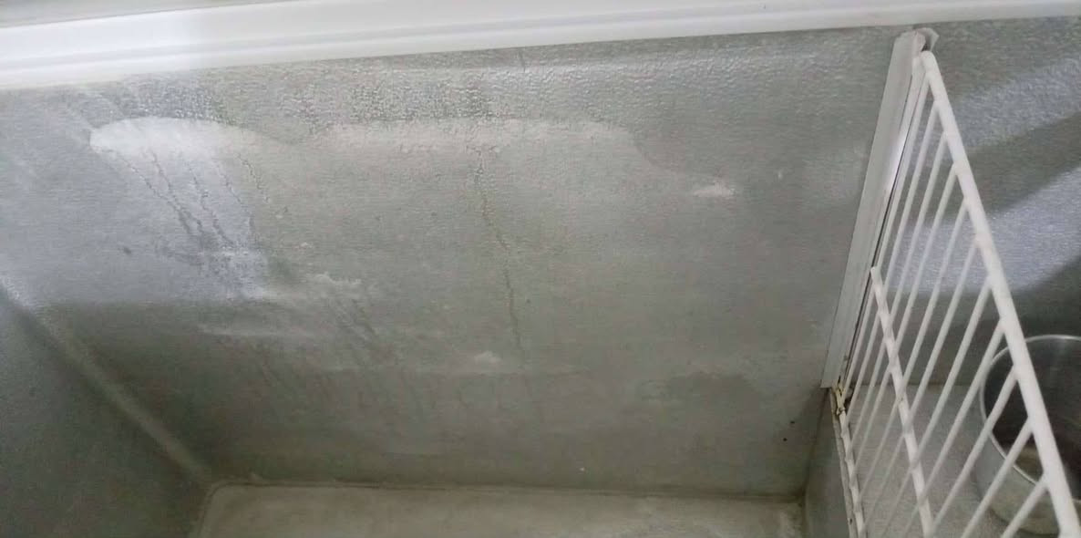 سلام عليكم مجمدا نضيفه تجميد فول حجم كبير ب ٢٥٠ وبيها مجال بسيط سنك سل ستيل بانيو ب ١٥٠ المكان بغداد شرطه خامسه بل دوانم مال سويب الاستفسار ***********
