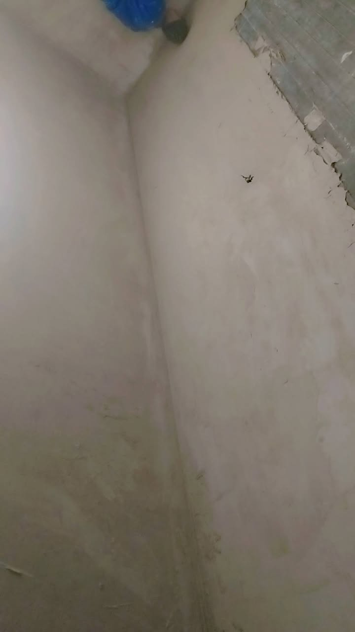 اشغلي صطار وليخ وصب بيوت متواجد كادر تنظيف بيوت ورصف  كاعيات ***********
