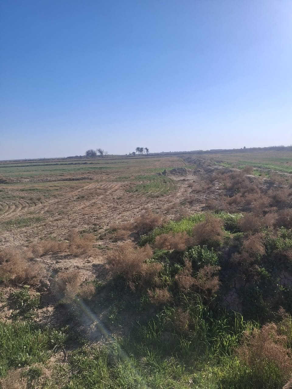 السلام عليكم من رخصة مدير الكروب المحترم أرض زراعيه ١٥ دونم للبيع وره الساير تبعد عن الساير ٤ كيلوات السعر ٣٠ وبيها مجال للإستفسار الاتصال بالرقم/*********** /مكلف بالنشر
