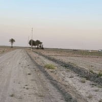 امتلك دونم في التاجي منطقة ( الشيخ عامر) متوفر عرض اليوم 8 دونم سند 25...