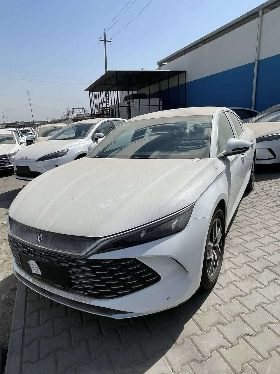 #معرض #حجي #خالد  #لتجارة #السيارات
وصول وجبة جديده من BYD 2025 جميع الالوان متوفرة اسود 🖤وابيض🤍 ورصاصي 🩶
 
السعر: انسب الاسعار اتصل على الارقام التاليه
***********
***********

‏qin plus      - - -   destroer - -seal05 - -song L
   
    1: سيل 05 seal✴️ لون ابيض 🤍واسود🖤

2: كن بلاس qin plus. لون ابيض

‏3: ✴️ Destroer  05. دستروير  ابيض
4: دستروير اسود 
5: دستروير رصاصي 
                                                     6: song L سونك ال 
 7: سونك بلاس لون اسمنتي 
كن L ابيض 
للطلب والاستفسار والحجز الاتصال على الارقام التالية
***********
***********
ادارة المبيعات

☎️📞📲☎️📞📲

بغداد  البياع مدخل المعارض الرئيسي 

شكراً لتواصلكم معنا
 #سيارات  #BYD
#سيل5 #سيل05
#كن_بلاس 
#دستروير
#سونك
#كن L 
***********
***********
