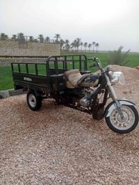 ستوته • ٢٠١٩ • اوراق اصولي