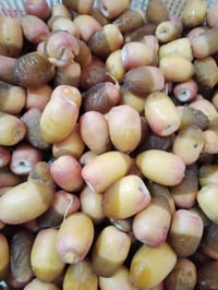 فسال • برحي • سوق الشيوخ