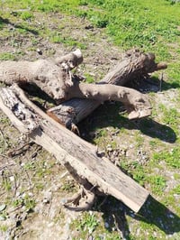 للبيع • ديكور • حديقة