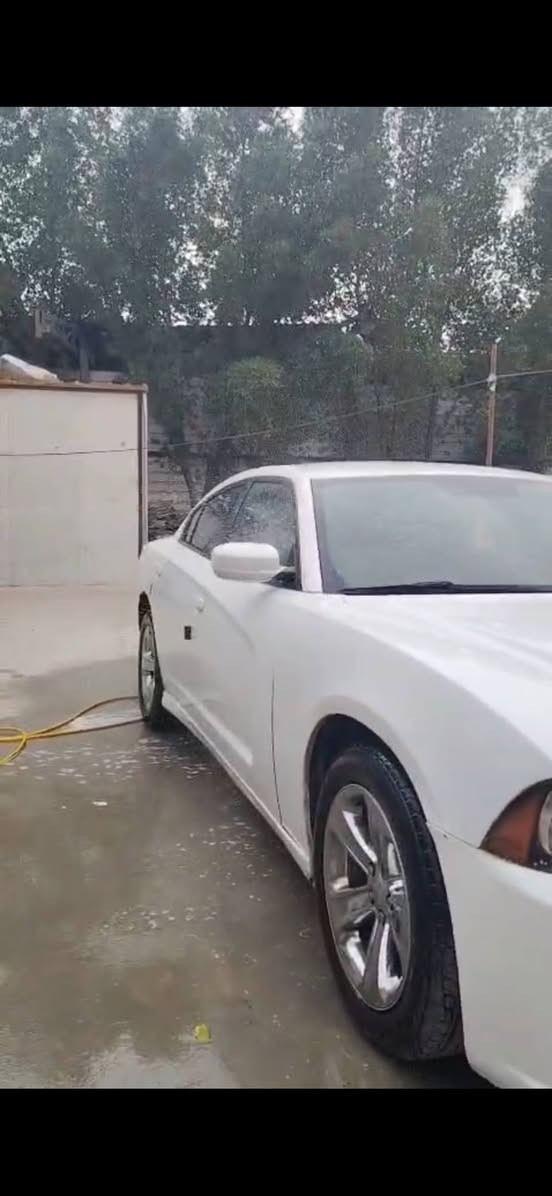 جارجر ادوات كص شفقة فقط سعرة 65


**إذا كنت صاحب هذا الإعلان وتريد حذفه لأي سبب، رجاءا أرسل رسالة إلى الدعم الفني**