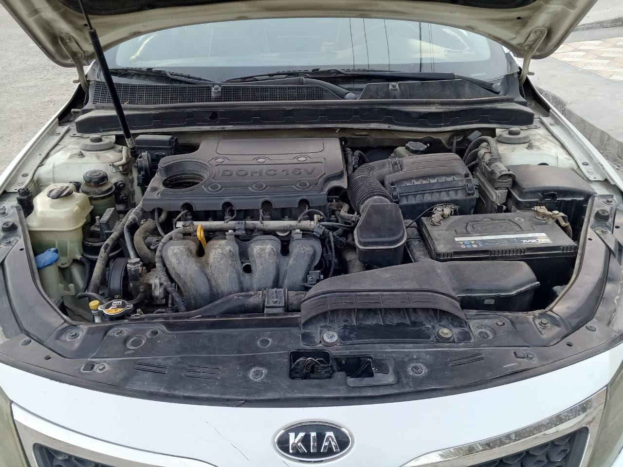 سلام عليكم .. كيااوبتما 2011 خليجي
فول مواصفات vip
•فتحه قطعتين 
•بصمه تشغيل وابواب وجنطه 
* ترحيب
* تبريد  قطعتين
* ⁠ كشن سائق فول كهرباء وخزن
* ⁠دوشمه جلد
* ⁠مري اشاره وشفط
* ⁠لايت لد نهاري
* ⁠مكينة 2400 دوووووش
* تبريد يحتاج منظومة كاملة وشويه ترتيبات 
قطعتين صبغ جاملغ امامي وخلفي جهة السائق بدون دواخل فقط صبغ
رقم اربيل .. سنوية ماساقطة .. مكان السيارة بغداد .. السعر ١٠٧ وبيه مجال .. للاستفسار  واتساب *********** بغداد, العراق
