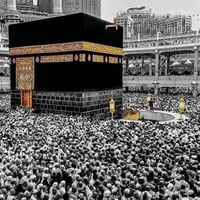 عمرة نصف السنة • مكتب المحمدي • فندق إيلاف بكه