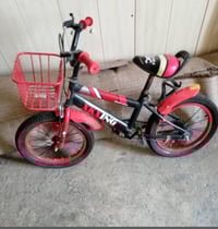 باسكل للبيع السعر 40 الف 07718618271