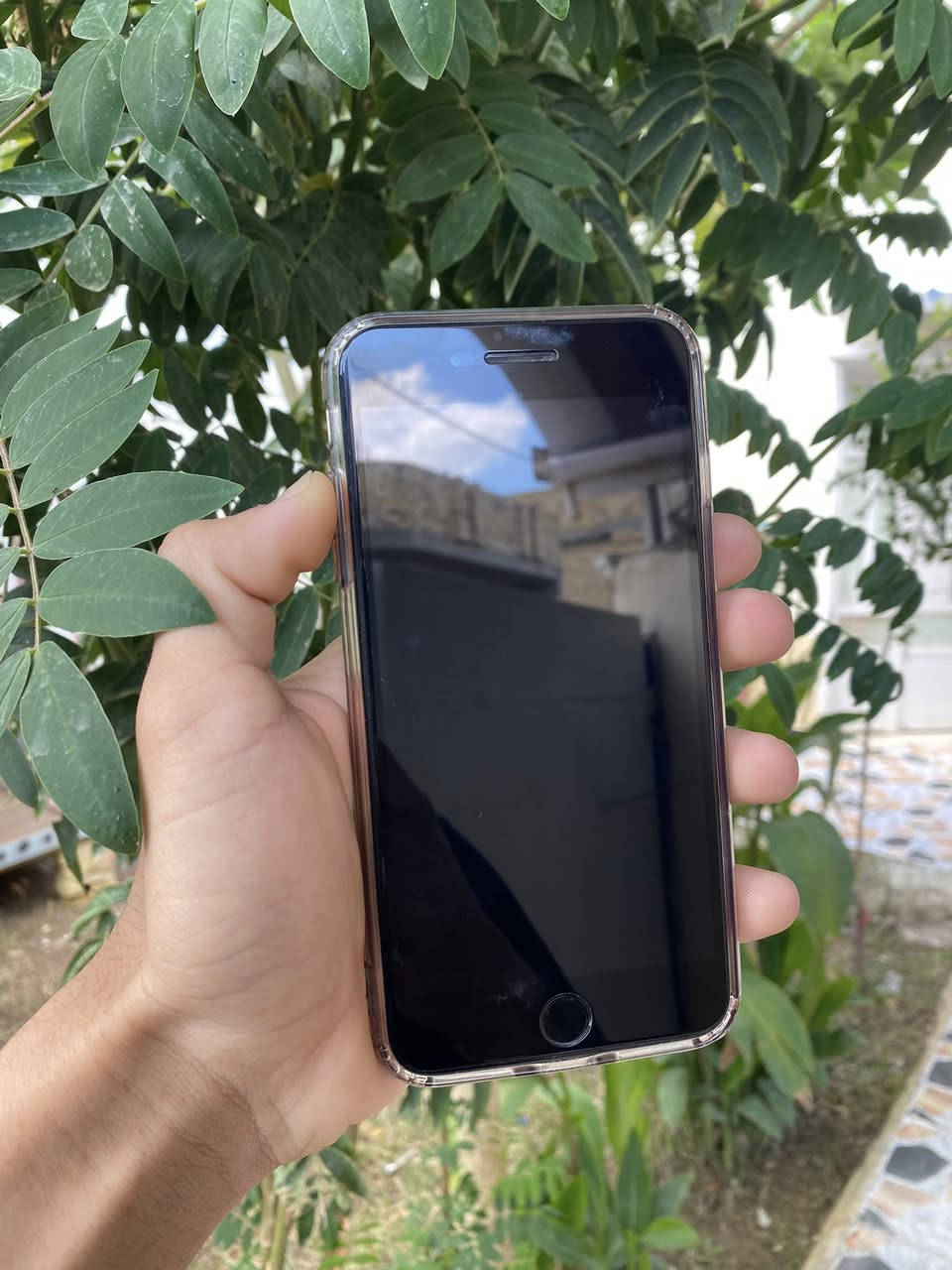 سلام عليكم. ايفون 7بلاس ذاكره 256 جهاز بصمة وجه شغاله الجهاز بلادي ما عد بطاريه مبدله 100 صرف يخبل مكاني بابل الحمزه الغربي . السعر خاص او ***********
