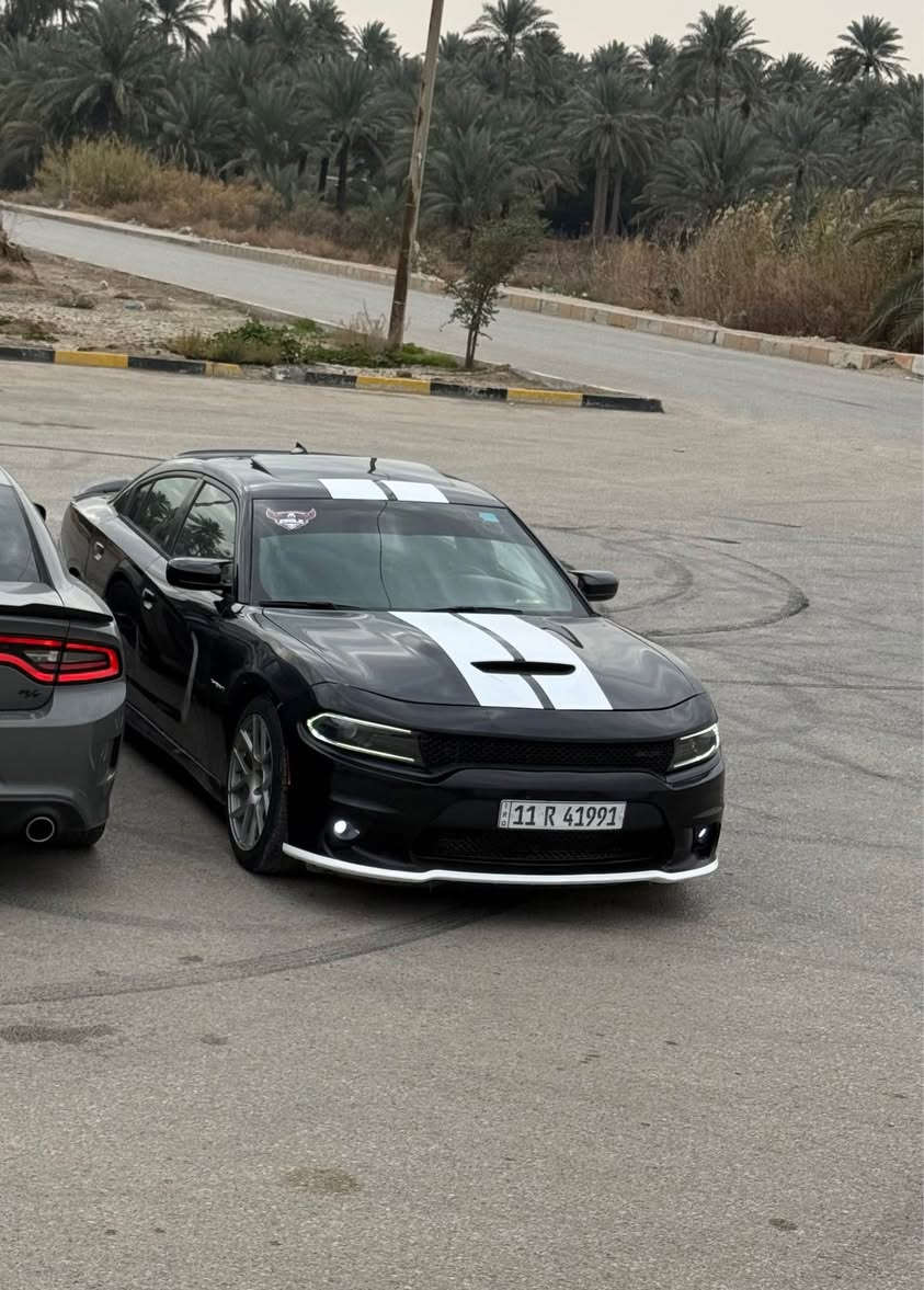 السلام عليكم 
للبيع او المراوس  
جارجر ارتي ماكس 2015
فول للاخير ما عدا الرادار الامامي 
برمجة مصطفى ايگل 🦅
4 قطع صبغ السيارة 
جاهزة للاخير ما ناقصها شي 
الاضافات اللي عليها 
اكسل 3.09 
دركة هيلكات 
دبات بورلا 
شاشه ابل كار بلي 
مازدات 23 اشاره لد 
كيجات SRT 
زوج ويلد خلفي 
------
مواصفات السيارة 
فتحه 
كشنات حضن تدفئه تبريد 
كنتاره مختمه RT 
سستم صوت بيتس 
دمام بالجنطة 
مري قلاب 
سوبر تراك باك 
حساسات خلفية 
تدفئة كشنات خلفيه 
خزن ميوري 
السكليتر كهربائي 
مختصر مفيد السيارة فول للاخير 

كير محرك تبريد كله كفاله . 

مكان السياره بابل 
*********** حلة, بابل
