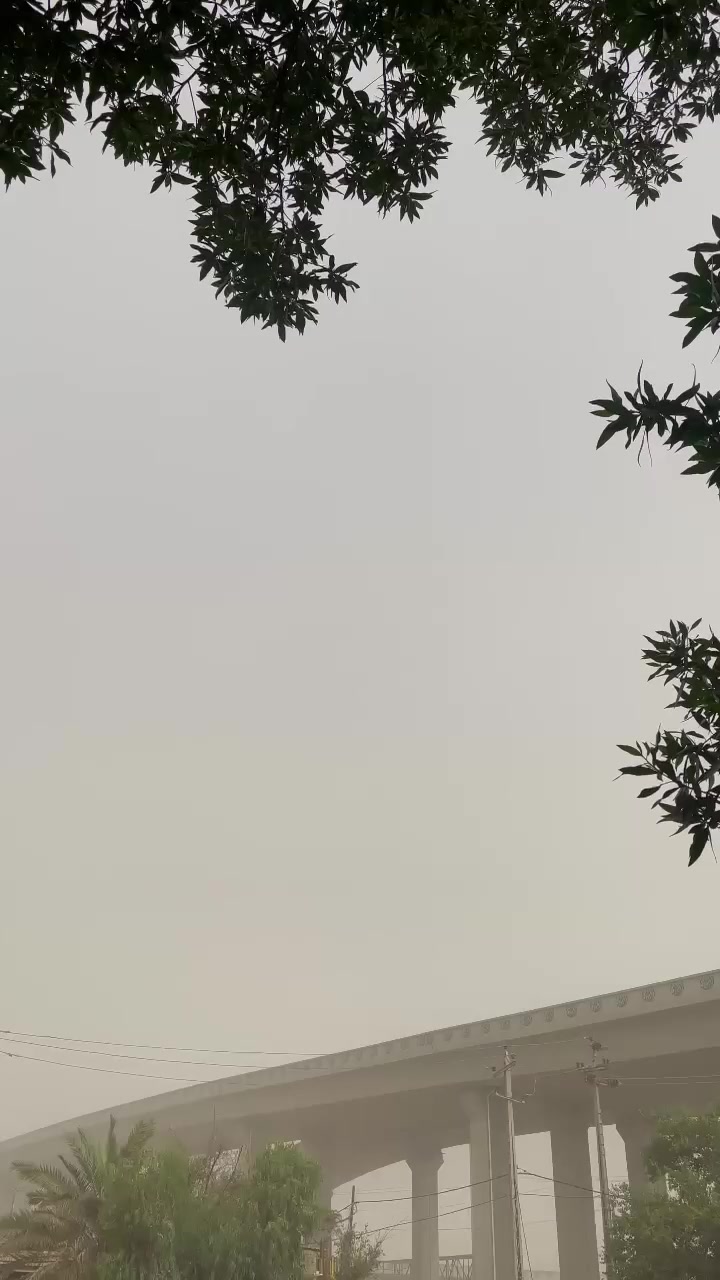 سلام عليكم فورزه 08 مرقم مميز مداور دراجه كير شغال كامل 3 تحويلات 6 نمر دراجه مرتبه ومناسبه ملاحضات بسيطه تفاصيل اكثر خاص مكاني سماوه  ***********
