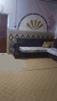 بيت للبيع طابو زراعي 250متر غرفتين +مطبخ +مضيف طول 8وعرض 4ونص +حمام خارجي وداخلي منطقه أبو صريفه خلف جمله العزوز مسافه400متر شارعها 7متر سبيس  ماي ماينكطع بيها +محوله كهرباء السعر 40وبيه مجال للتواصل *********** موجود واتساب
