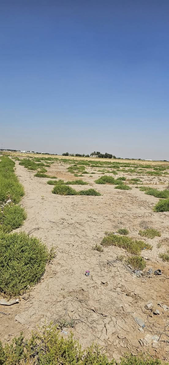 السلام عليكم دونم ونص للبيع على شارع العام قرب المغتسل الخيري متوفر ماء وكهرباء 
صالحه لعددة مشاريع مطعم سياحي وغيرها

اخوان سندها ضايع اتكفل بيها فقط من العشائر اسوي مكاتبه رسميه 

سعرها 40مليون وبيها مجال


**إذا كنت صاحب هذا الإعلان وتريد حذفه لأي سبب، رجاءا أرسل رسالة إلى الدعم الفني**