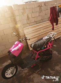 فراشه محرك • ماكس • البصرة