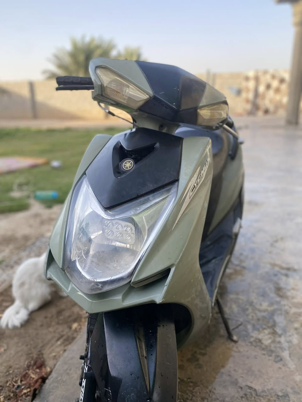 للبيع السعر خاص ***********

