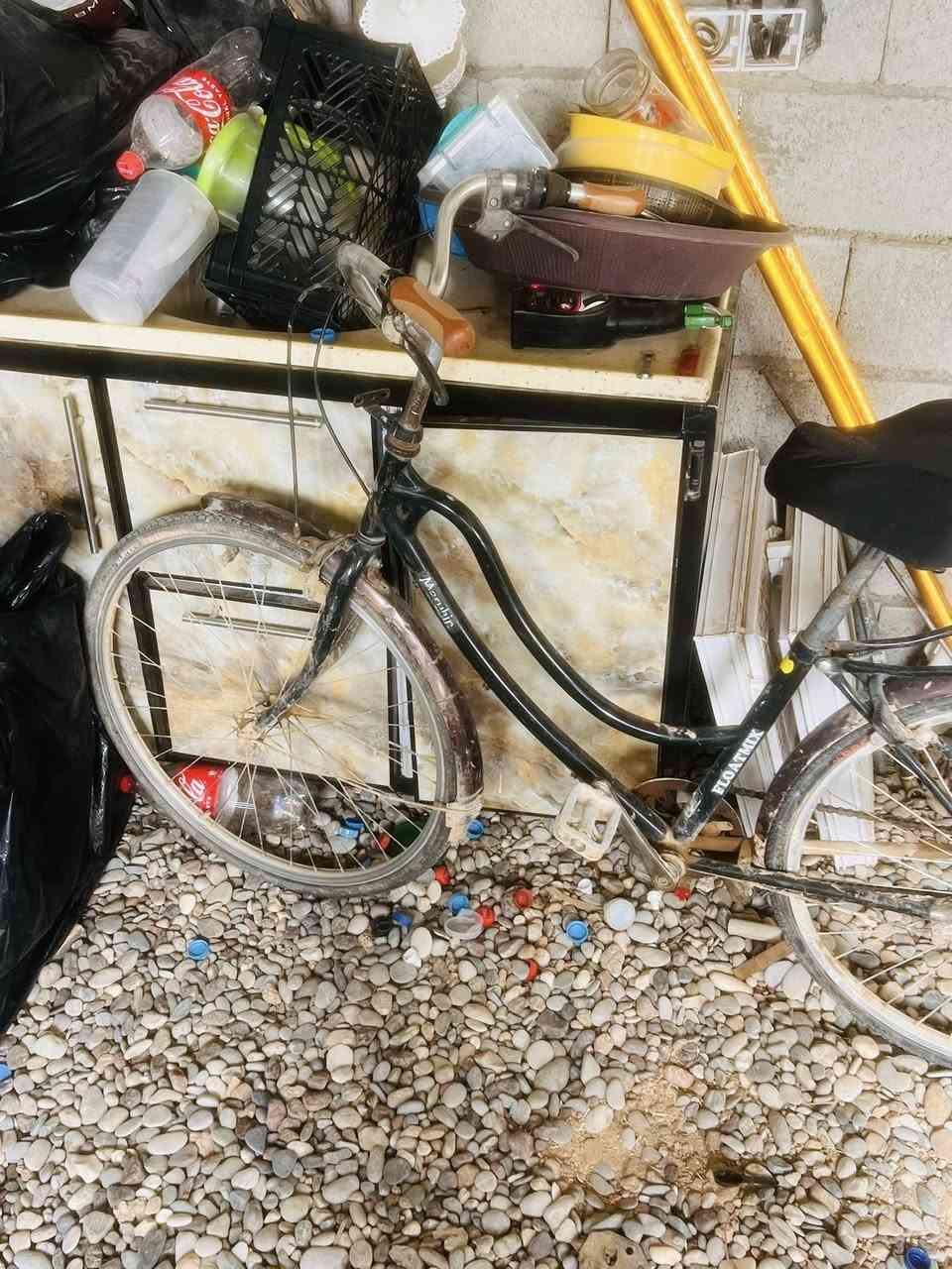 سلام عليكم بايسكل البيع السعر 70 وبي مجال


**إذا كنت صاحب هذا الإعلان وتريد حذفه لأي سبب، رجاءا أرسل رسالة إلى الدعم الفني**