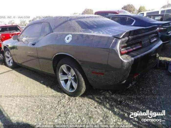 جالنجر 18 sxt 
السياره باسمي بيع او مراوس 
بدون ايرباك بس جاملغ امامي صبغ 
ماشيه 105 
كير مكينه كفاله عامه 
يحتاج الها لحيه وبطاين مال جاملغ 
تبريد ثلج 
مكاني بغداد ***********
