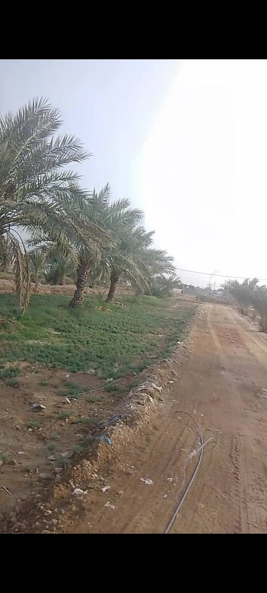 قطعة أرض للبيع
المساحة 1440 متر
الواجهة 18 متر 
النزال 80 متر 
الموقع. شارع المعمل فرع اسواق ريحانة 
مزرعة سيد حميد العذاري 
تبعد عن الشارع 150 متر 
السعر . 40 وقابل للتفاوض 
هاتف. ***********
