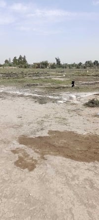 عندي قطعه بحي بدر 200 م زراعي بها قرار محكمه نظيفه كلش محدده رقم الهات...