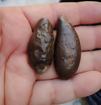 قديمات • غير مجرّبة • خاص