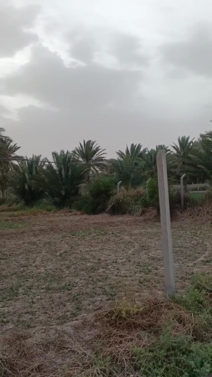 السلام عليكم بستان  اثنين دونم طابو زراعي سند 25 الموقع قناه كربلاء الفضائيه شارع الابراهيميه او التنزيل كيلو ونص طريق سبيس  السعر وباقي التفاصيل التواصل على رقم الهاتف ***********%***********
