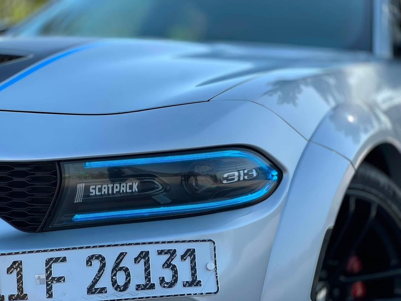 السلام عليكم

Charger Scat Pack 6400
جارجر سكات باك 6400 
بيع او مراوس حسب الرغبة
2019
فول عدا الفتحة
ماشية 70 الف فقط
تبريد تدفئة كشنات امامي خلفي
دركة كاربون 
4 وضعيات قيادة
تراك مود
رادار جانبي
نقطة عمياء
حساسات خلفية
داخل احمر
لد متغير 
عدسات زنون 
ولف حماوة ريسنك 
بلكات ريسنك
فيول بم ريسنك
شوتة Afe
اويل كاج كان
كت وايد بدي شبة الاصلي كلبسات بدون كص بدون تزريف اصلي سعره 1000$
السيارة برمجة مصطفى ايكل 
مكينة وكير كفالة
بجم كبس حادثها جاملغ وباب سكن الخلفي فقط 
السيارة مال جناي مرتبة للاخير واكفه حيل
وبعد بيها هواي سوالف ماذاكرهن
*********** للاستفسار
