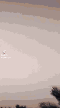 ستوتة • قادسية • جاهزة