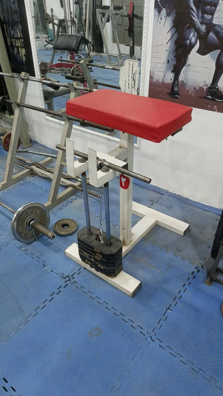 بيع مستعجل


**إذا كنت صاحب هذا الإعلان وتريد حذفه لأي سبب، رجاءا أرسل رسالة إلى الدعم الفني**