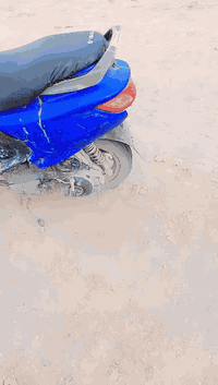 فراشه للبيع سعره 300الف وبيه مجال مكانه بابل حمزه الغربي رقم الهاتف ***********
