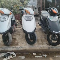 سبسيات • مكاين ناعمه • الكوت