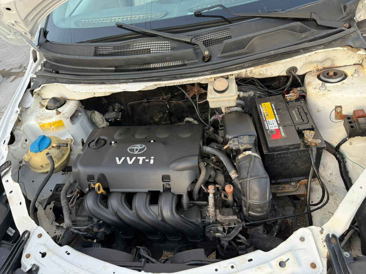 فلاوين مديل ١٣ تخم تاير باتري حداده مدوشمه جاهزه من كلشي مكينه كير كورله رقم بصرة تحويل مباشر سعر ٤٠ عنوان بصرة القبله شراي يتصل ***********
