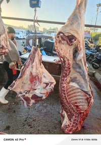 الى اهالي مدينة الحرية الكرام والمناطق المجاورة اي احد يحتاج طباخ اي ط...