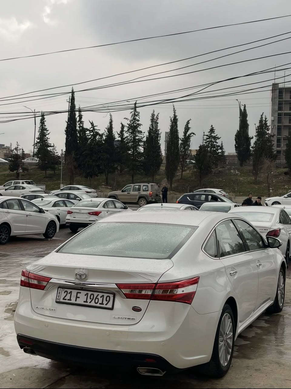 .
Toyota avlon🪬.
2013
216$


**إذا كنت صاحب هذا الإعلان وتريد حذفه لأي سبب، رجاءا أرسل رسالة إلى الدعم الفني**