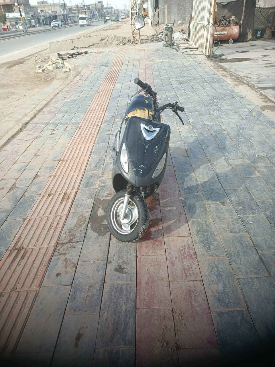 لبيع ماكس منغولي شلعه ومعدل مل حوريه على يدي ***********
