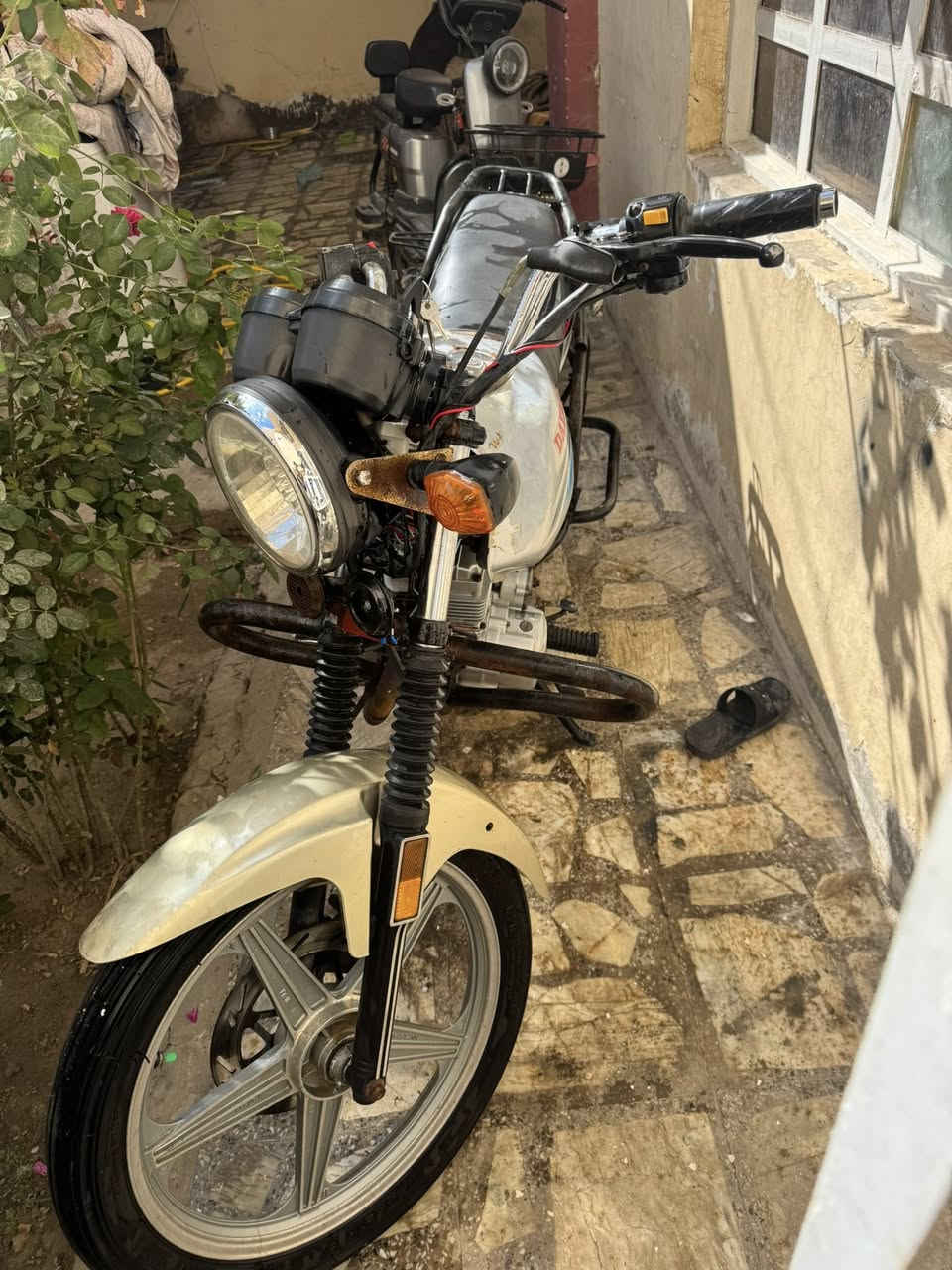 الآن .
السلام للبيع دايون عضم. موديل ٢٠٢٠ ارواق اصولي دراجه نضيفه. مكينه مكفوله. ممفتوحه. ابد. تايرات جدد دبلات جدد اصلي كشن مدوشم جلد اصلي. كهربأيات كلها شغاله بااتري جديد متخسر عليها دينار. مكاني جف. سعرها ٩٥٠ وبيها مجال ***********
