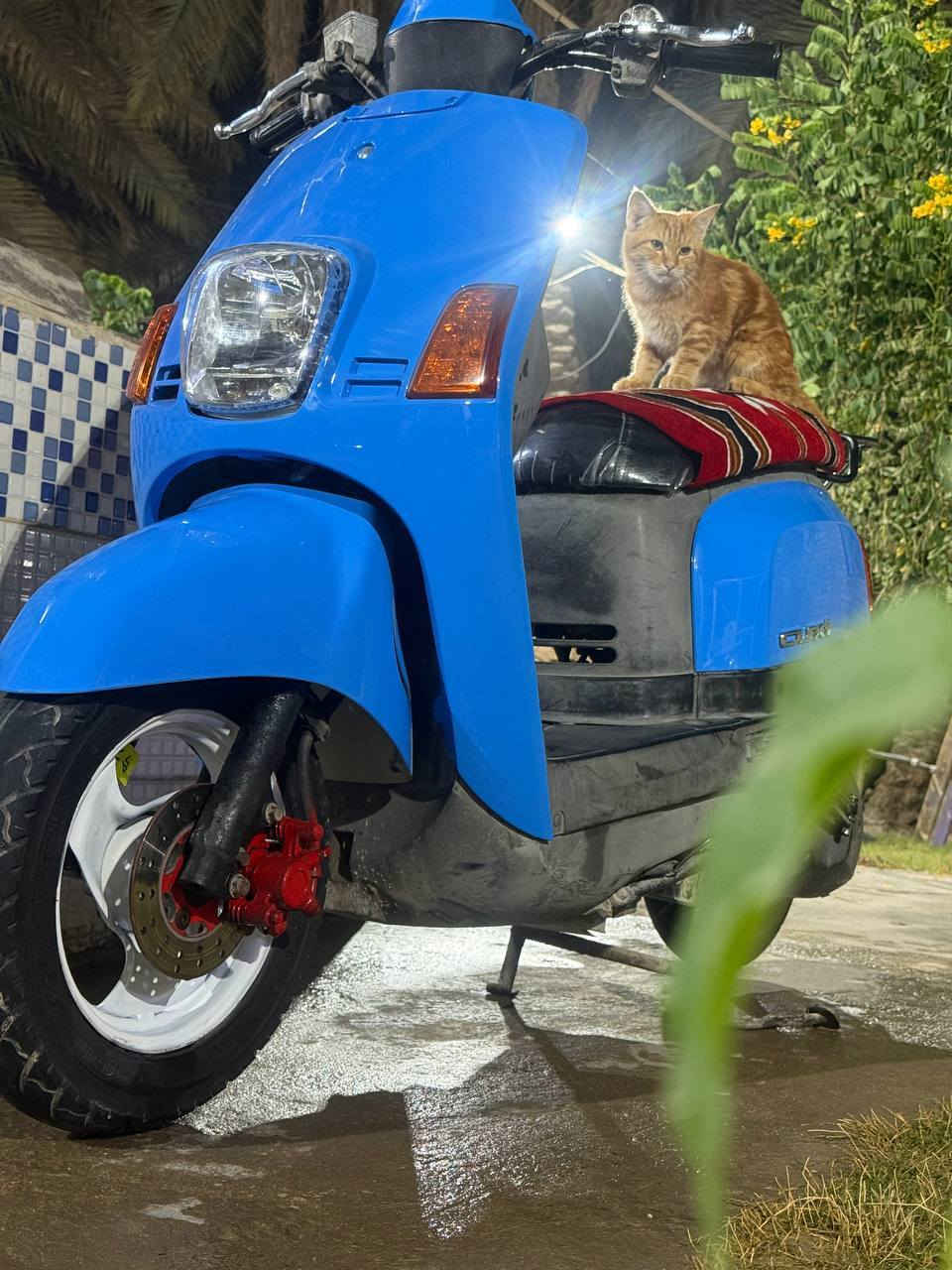 السلام عليكم بوليس للبيع ماكينه بلاديه 49 مكان كربلاء اتواجد على الرقم السعر 850اوبيها مجال مستعجل عليها.  ***********
