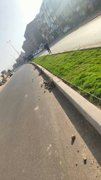 ثيل ديالى • تجهيز حدائق • توصيل ٢٤ ساعة