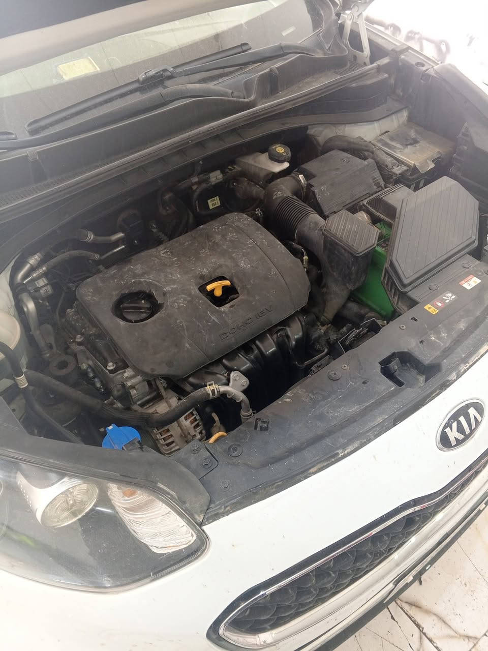 أدامة سبورتج 2019/ بتاريخ 2026/3/24
🟥🟥🟥✅🟥✅✅✅🟥✅✅✅🟥

1/ تنضيف غرف الاحتراق الولفات لاداء افضل 
2/ تنضيف حساس الاوكسجين 
3/ تنضيف الجويتر مع البرمجة 
4/ تنضيف الدكشن البارد 
5/ تنضيف حساسات الكام 
6/ تنضيف حساسات VVT
7/ تنضيف حساس الماب سنسر 
8/ تنضيف ولف التبخير غاية الأهمية 
9/تبديل البلكات وكالة موپس الكورية 
10/ فحص المجاول خارجيا بجهاز متخصص
11/ فحص وتنضيف الفيت بم وخط الراجع 
12/ فحص وتنضيف النوزلات+فلاتر+واشرات
13/ تنضيف سطح المحرك بفوم خاص مجدد 
14/ برمجة السيارة بعد العمل وخلوها من الاعطال كافة 🌹
 سيارات الأربعة سلندر 50 الف ادامة 🟥🟥
سيارات الستة سلندر.   65 الف ادامة 🟥🟥

ملاحضة  كل ما ذكر اعلاه فقط 50 الف 

✅✅✅✅✅✅✅✅✅✅✅✅✅

مركز المصطفى لبرمجة وادامة السيارات كافة 
بأدارة مصطفى الموسوي ***********

العنوان السماوة حي الاعلام شارع السيراميك الرئيسي مقابل شركة فجر الطاقة
