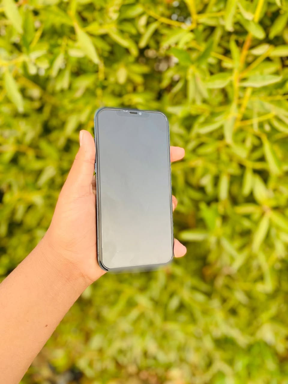 للبيع 12 برو ماكس ذاكرة256 مستبدل شاشة فيس إيدي واكف بطارية معلاية 100 بي رصعة بالضهر السعر 325 وبي مجال مكان النجف مفرق الكفل عمود 370 للاستفسار ***********
