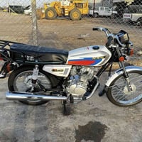 كلك كلك • شبه اصلي • مكفوله