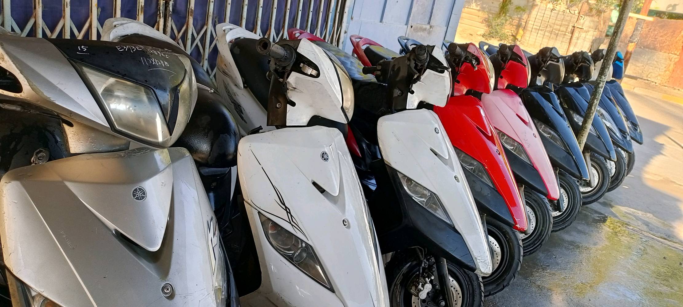 اسلام عليكم وجبة دراجات رمبة كفالة عامه فول نضافة مكاني بغداد شعلة الشراي يتصل 