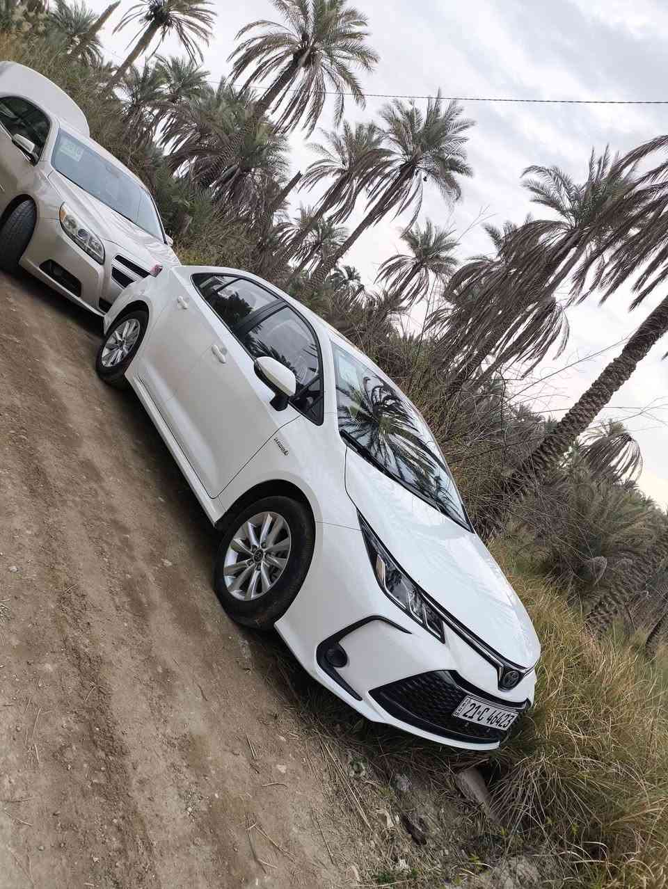 كورله 24كفاله وفول مواصفات ماشيه 16الف جديده ةماتعبانه مكاني كربلاء الاستفسار***********
