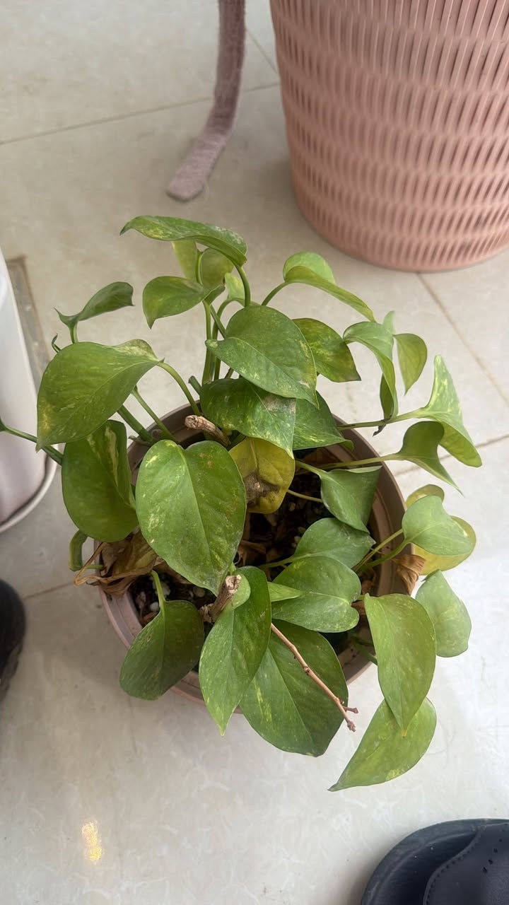 اغراض لبيع


**إذا كنت صاحب هذا الإعلان وتريد حذفه لأي سبب، رجاءا أرسل رسالة إلى الدعم الفني**