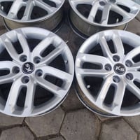 ويل كب • حجم ١٦ • كوت